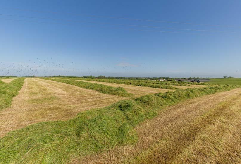 LOT 2 - LAND CUNNINGHAMHEAD The land comprises four fields and extends to 52.73 acres (21.34 ha) of land and 1.48 acres (0.60 ha) of former dismantled railway.