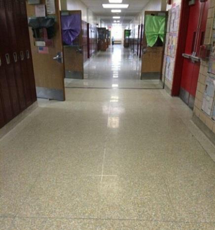 Professional Cleaning/Polishing of Terrazzo Floors at