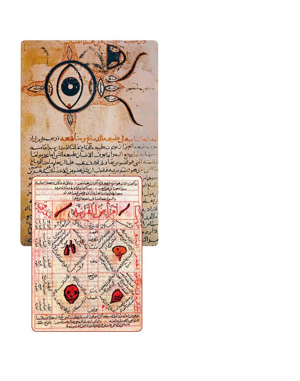 Hoenain ibn Isjak se diagram van die oog n Bladsy uit Avicenna se Kanon van Geneeskunde geskiedkundiges aangevoer dat die vertalers met die onderwerpe vertroud moes gewees het.