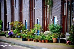 photo: architour photo: City of Amsterdam, Archives Borneo Sporenburg C van Eesterenlaan 41 1019 JK Amsterdam http://wwwamsterdamdocklandscom A total of 2500 dwellings have been built on the two