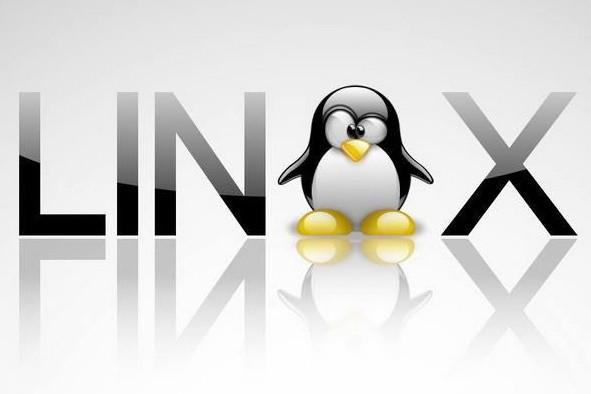 Linux операциялық жүйе Linux жүйесінің бастапқы құрылуы 1991 ж. финский студенті ЛинусТорвальдс (Linus Torvalds) бастаған.