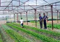 Modernisation of Agriculture