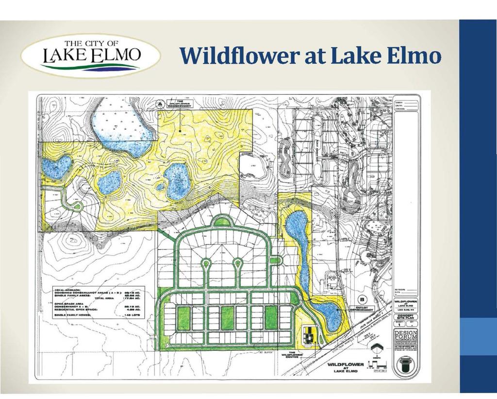 T l IE ClTY OF lt\keelmo Wildflower at Lake Elmo I 11 - -IL_...,. =b~i!lo. l ------- --~- ~ -.