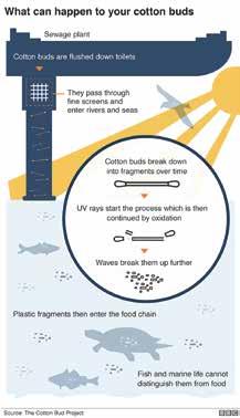 A recent survey by Plymouth University found that plastic was found in a third of UKcaught fish, including cod, haddock, mackerel and shellfish.