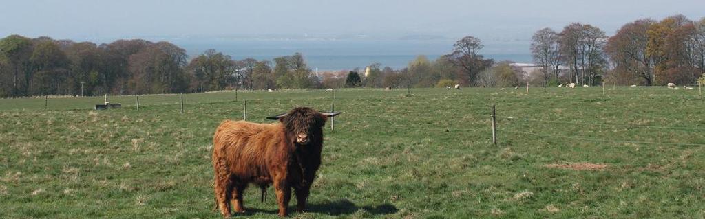 PITCALZEAN MAINS FARM NIGG, TAIN, EASTER ROSS, IV19 1QT An opportunity to purchase 341 Ha(843 Acres) of land including Grade 2 & 3.