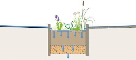 nl) Urban infiltration strips / fields Infiltration ditches or deepened fields next to paved surfaces can temporarily store rainwater.