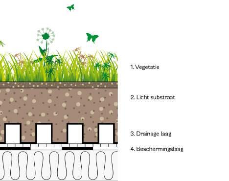 WATER MEASURES Roofs Extensive green roofs A green roof contributes to the temporary retention of rainwater.