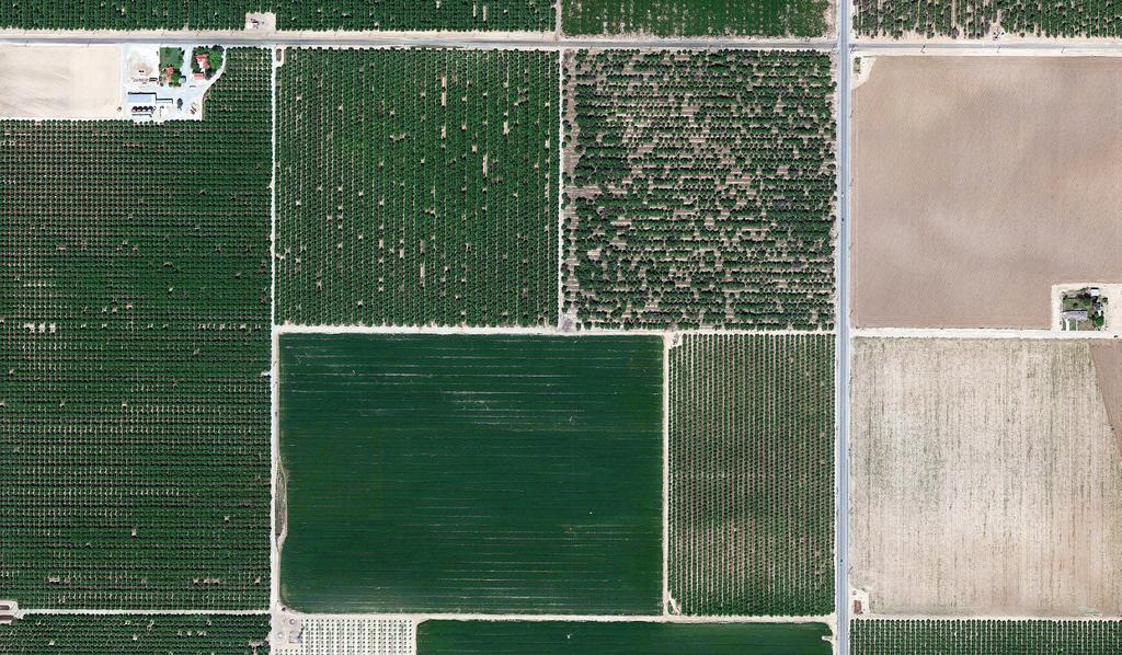 AERIAL MAP Sullivan Rd ALMONDS (PUSHED) OPEN GROUND 43 ALMONDS Enos Ln Beech Ave 125 HP Well Noriega Rd Neither the Seller, nor makes any