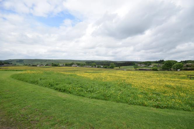 LOCATION Causeway foot is a rural location surrounded by picturesque Bronte countryside.