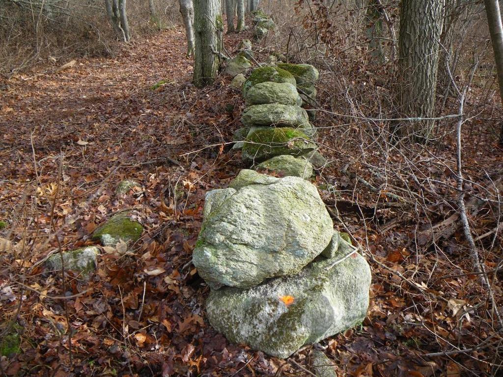 Deeds and Plans Make Reference to Boundary Markers