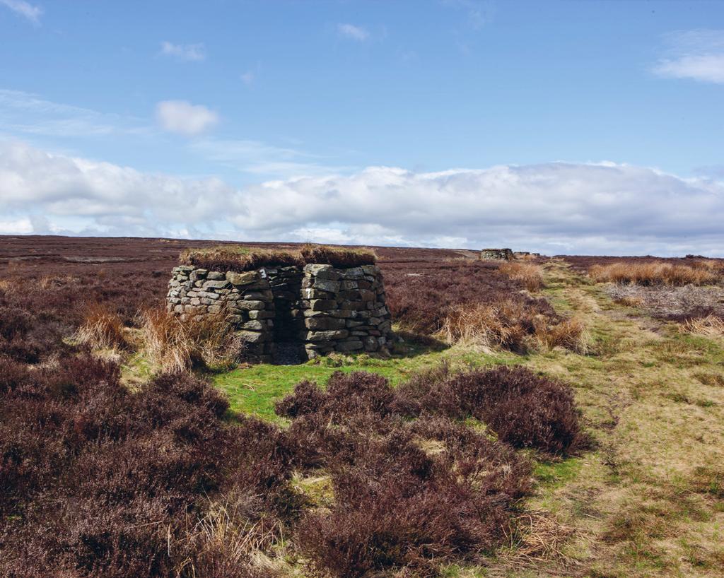 AN ATTRACTIVE AND ACCESSIBLE ONE-DAY GROUSE MOOR sand edge moor, wolsingham, county durham Total area approximately 697 acres (282 hectares) Guide price - 900,000 Description Sand Edge Moor extends