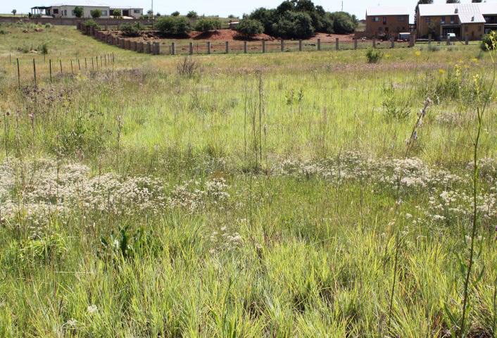 REGISTERED SIZE: 1 000 m² Vacant stand LOT 5 956 Aldo Drive, Rietvlei View Country Estate, Grootfontein