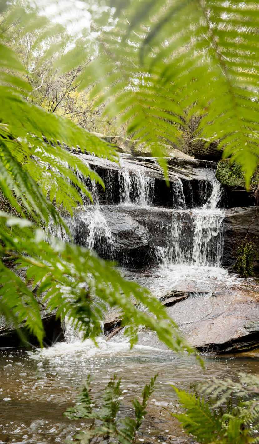 A perfect name for a perfect location The Karoga Residences are named after the Karoga Brook a small waterway located off the Hacking River in the Royal National Park.