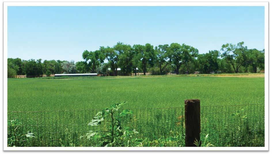 This farm offers a discriminating buyer the opportunity to invest in a tract of land that can be used as an estate home site, developed into larger or smaller parcel high end homes, or held for long