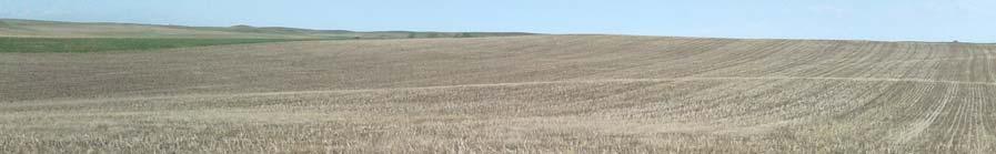 North Ziebach County Unit: The North Ziebach County Unit would be a fantastic headquarters and