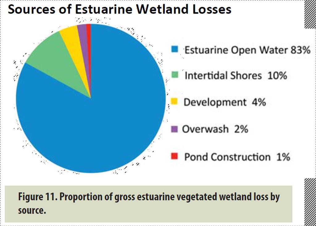 Tidal Wetlands in Delaware Loss of 580 acres estuarine vegetated wetlands 19922007 (Tiner et al,