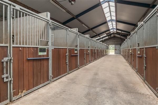 The stable is accessible from the yard by means of a sliding door in the side wall and a door in the front façade.