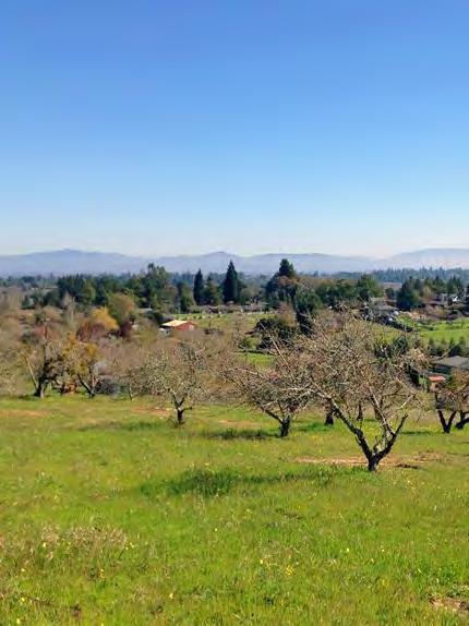 IDEAL LOCATION Located less than an hour s drive north of San Francisco, Sonoma County enjoys the world-class culture of the San Francisco Bay Area, while still maintaining its agricultural heritage