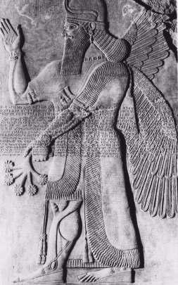 7 Project: Assyrian Bas-Reliefs of Nimrud (9 th century B.C.