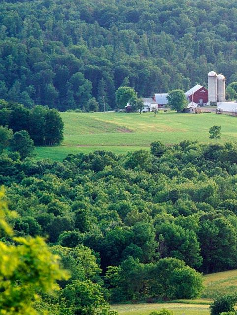 For a program to be included, the protection of agricultural lands must be one of its core purposes, accomplished primarily by compensating landowners for the value of the easement.