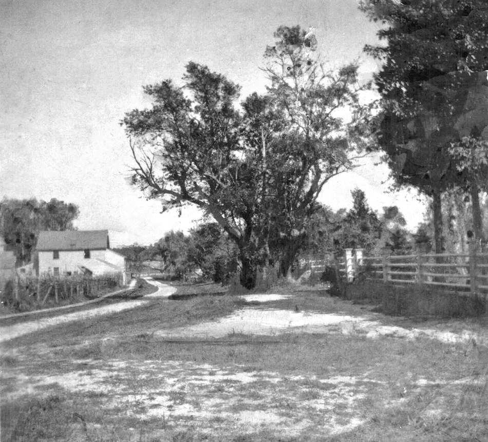 Figure 8: Castor Oil Mill This historic photo, undated, reportedly shows the castor oil mill to the left.