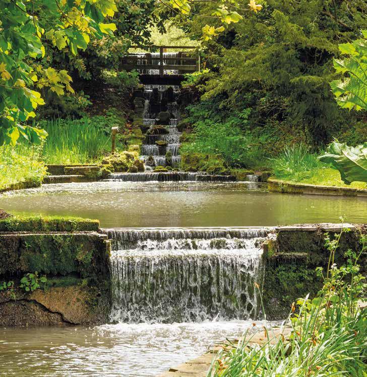 The gardens are both formal and informal, have a wonderful array of specimen trees and shrubs, feature two ponds, streams, bridges, paths, woodland walks as well as a disused tennis court.