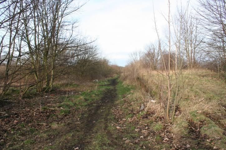 Site Reference: 339 Site Address: Land Adjacent to Railway Line, Near Spa Terrace, Askern Hierarchy Status: