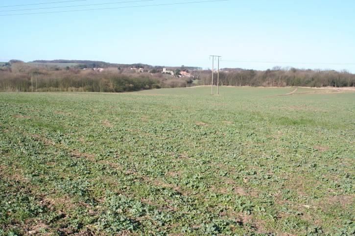 Site Reference: 376 Site Address: Land off Churchfield Road, Askern Hierarchy Status: Principal Town