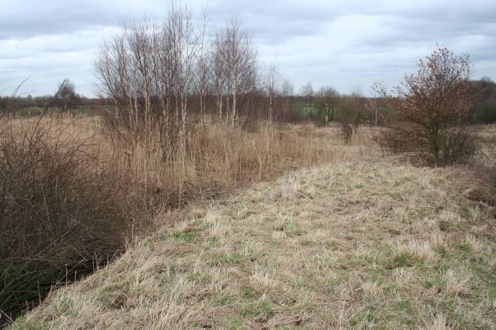 Site Reference: 544 Site Address: Land adjacent Saw Mills & Railway Line, Askern Hierarchy Status: Principal Town Settlement: