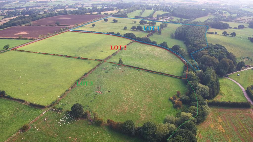 GRASSLAND AND WOODLAND LOCATED IN A CONVENIENT POSITION CLOSE TO HARROGATE AND WETHERBY.