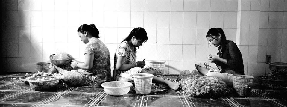 XE PHAN VAN FAMILY, District 6 One of Xe s daughters is employed by a private person in an informal way to peel garlic 12 hours a day, seven days a week.