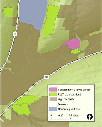 Land Trust Accepts Gift of Acreage Near Canandaigua Lake continued from cover The new tract lies between extensive wetlands along the West River and forested hillsides that rise steeply from the