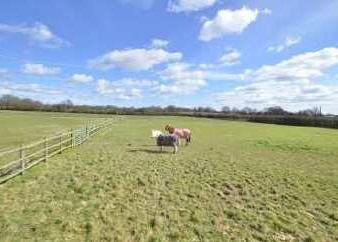 needed) 7 further loose boxes each 11ft7 x 10ft PARKING AREA for horse boxes and several vehicles. 2 further purpose built stables each 12ft x12ft located in a separate field with water.