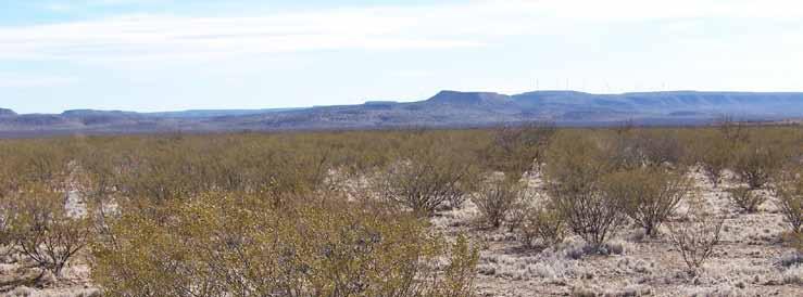 Two of the deeded tracts are located 5-8 miles west of the main operational body of the ranch. The largest tract contains 637.