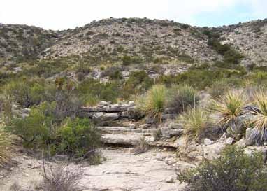 Limestone rock outcrops are common over much of the ranch,