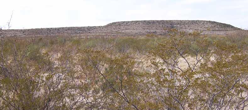 South of the river, the ranch is partitioned into