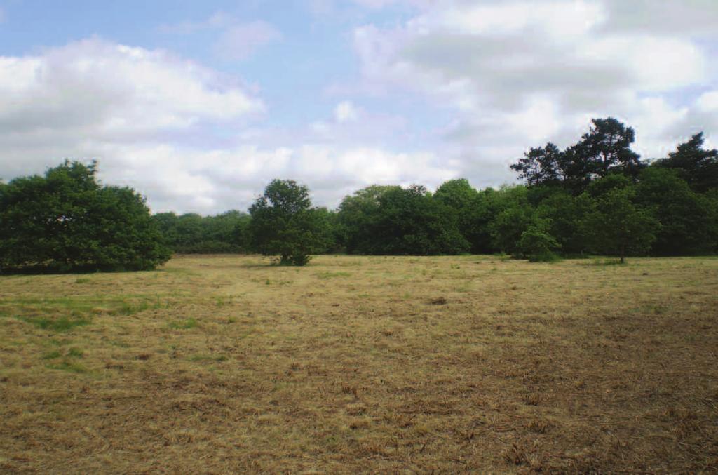 Land off Cherry Hill Road Barnt Green, Worcestershire Approximate distances M5 (J4) 3 miles Barnt Green 2 miles Blackwell 1 mile Birmingham 10 miles buyer s premium Successful purchasers will be