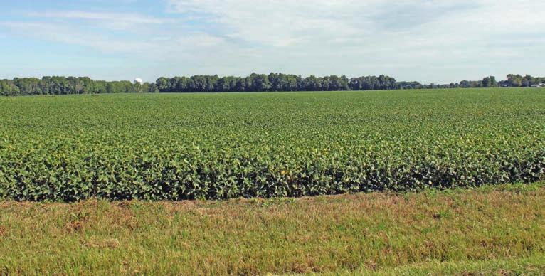 1737 ACRES VACANT LAND 8 FARMS 19 PARCELS Crawford & Morrow Counties South of Galion, Ohio Liberty Lands, Ltd.