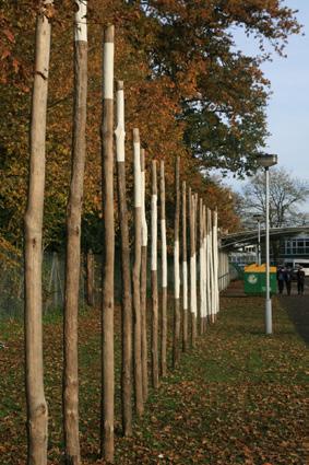 The students were inspired by the work of Dutch landscape artist Lucien den Arend which, with the help of Sculpt It resulted in the timber sculpture.