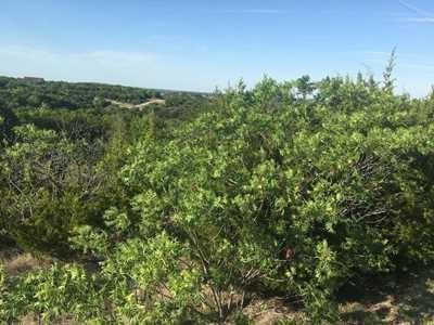 2+ Acre Scenic Lot in Mt. Lakes Dickerson Real Estate 254-485-3621 pauladonaho@gmail.com Property Address 0 Anchors Way Bluff Dale, Texas 76433 Property Description Scenic 2.