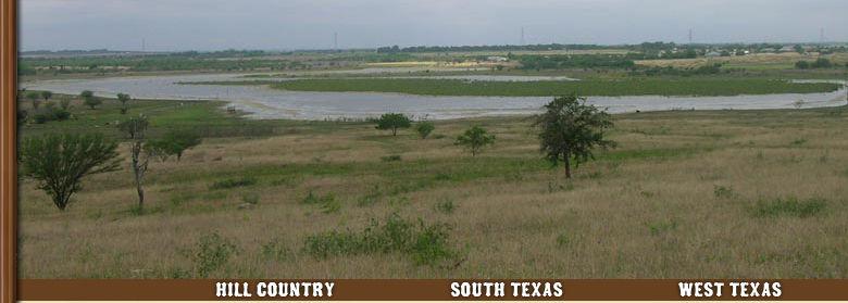 LOCKHART AREA COUNTRY ESTATE SITE (Scenic, End of Road Privacy, County Road Front, City Water, Fertile Soils, Views, Near SH 130) 150 ACRES CALDWELL COUNTY, TEXAS Ground Snapshots - Taken in May,