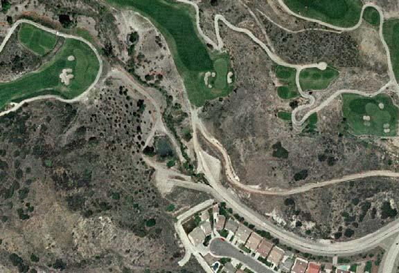 Condition: Fair to Good (photo documented/aerials) Threats: Streamside impacts from non-native trees and development.