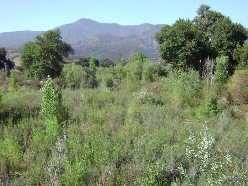 20 21 Location: Sycamore Canyon, Riverside Co., CA. in in the Coldwater Hydro Subarea, Lake Mathews Hydro Subunit ( 332.8(c)(2)(i)) Acreage: Approximately 2.