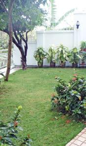 large private garden and terrace in tranquil