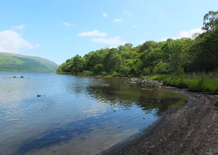 LOCATION Loch Earn Wood is situated in the stunning Stirlingshire countryside on the south bank of Loch Earn. The area is strikingly attractive with beautiful views across to Lochearnhead.