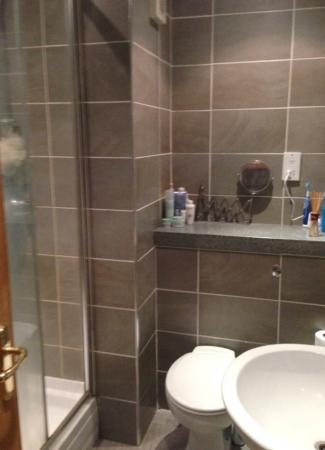 white WC, wash hand basin and shower cubicle.