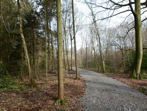 Situated off Kiln Lane, a quiet country byway some two miles from Tring, Hertfordshire, a recently upgraded track suitable for a car leads to the woodland s edge.