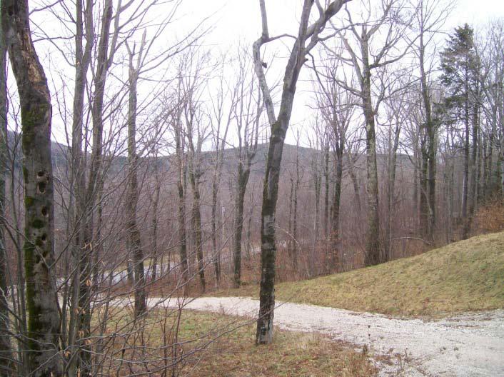 PROPERTY DESCRIPTIONS Location: Properties are located just 2.5± miles from the Killington Resort, famed for its firstclass skiing, bike trails, and championship golf course.