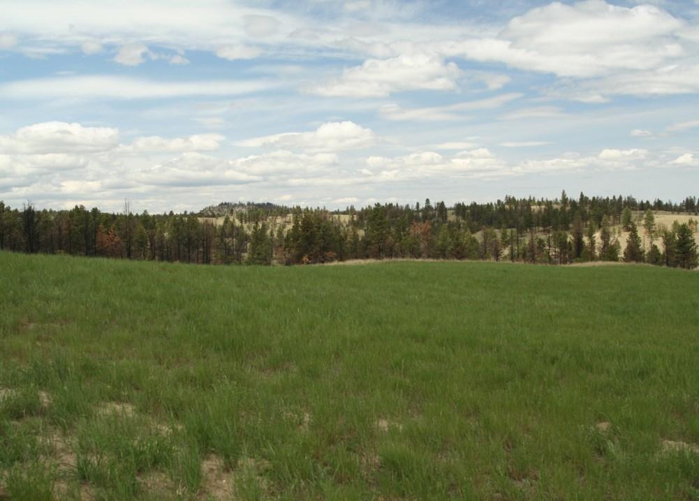 This ranch is perfect for a potential owner looking for a deeded base ranch to hunt trophy Elk, Mule Deer, and Wild
