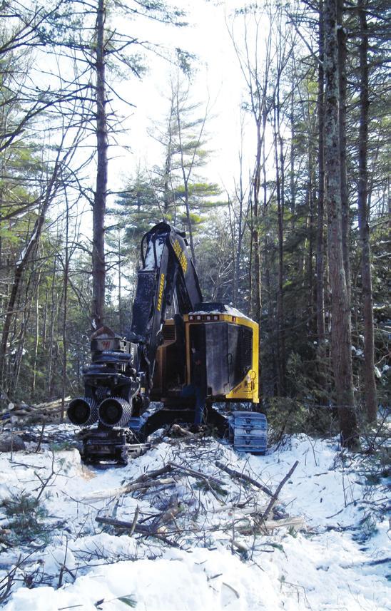 Whether the land is owned by SELT, or is privately or publicly owned land that we hold a conservation easement on, the call is inevitably prompted by large machines rolling in, trees being cleared,